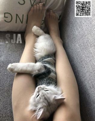 免费高清电影网站在线观看_BD天堂在线
