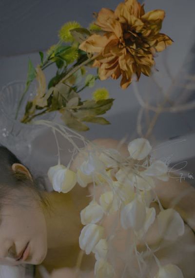 《大毒枭》电影_西瓜视频免费观看